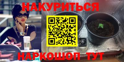 гидропоника Пугачёв