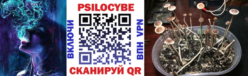 купить наркотик  Октябрьский  Галлюциногенные грибы мухоморы 